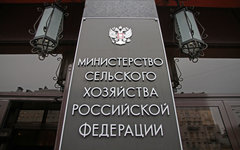 © KM.RU, Илья Шабардин