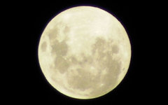 Фото CodeTurner с сайта wikimedia.org