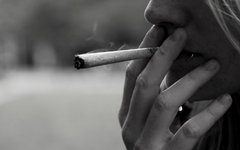 Фото пользователя Flickr ashton
