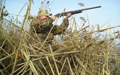 Фото с сайта fisherhunter.ru