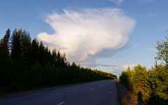© KM.RU, Фото предоставлено Геннадием Шатовым