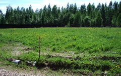 Фото с сайта uchastok-u-vody.ru