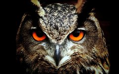 Фото с сайта freepik.com