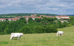 Фото пользователя Flickr Daniel Jolivet
