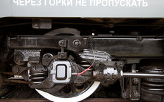 © KM.RU, Илья Шабардин