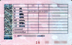 Фото с сайта wikimedia.org