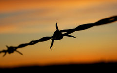 Фото пользователя Flickr Edmund Garman