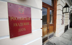 © KM.RU, Алексей Белкин