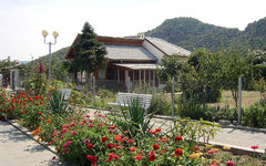 Дом Ванги в Рупите. Фото In-cognito с сайта wikimedia.org