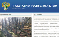 Скриншот с сайта  rkproc.ruc