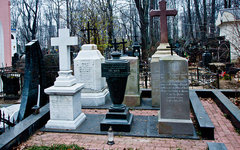 Фото Дмитрия Рожкова с сайта wikimedia.org