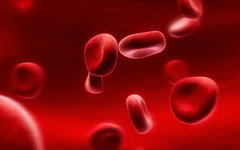 Фото с сайта transfusionfree.usc.edu