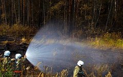 Фото с сайта rosleshoz.gov.ru