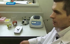 Стоп-кадр из видео телеканала «Катунь 24»