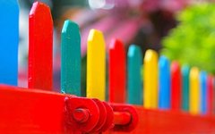 Фото с сайта mimosasamarillas.com