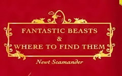 Фрагмент обложки книги «Fantastic Beasts and Where to Find Them»