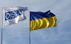Фото с сайта osce.org