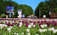 Фото с сайта park.sokolniki.com