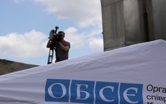 Фото с сайта osce.org