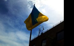 Фото пользователя Flickr GrusiaKot