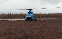 Фото пользователя Flickr Pavel Kazachkov