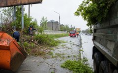 Последствия урагана на юге Сахалина. Фото с сайта <a target="_blank" href="http: