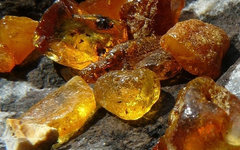 Фото Lämpel с сайта wikimedia.org 