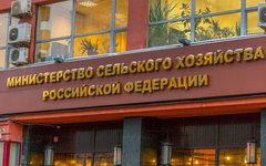 Фото с сайта onf.ru