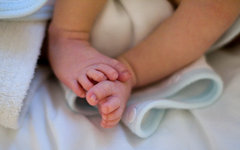 Фото пользователя Flickr Bridget Coila