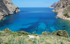 Фото Andy Mabbett с сайта wikimedia.org