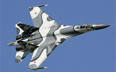 Фото Дмитрия Пичугина с сайта wikimedia.org
