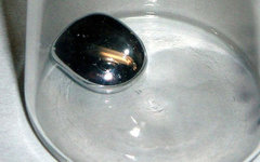 Фото с сайта wikimedia.org