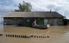 Затопленное здание школы в селе Алтайского края © РИА Новости, Александр Кряжев