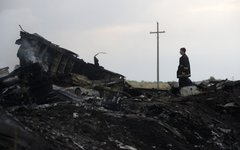 На месте крушения малайзийского самолета © РИА Новости, Михаил Воскресенский