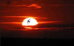 Фото пользователя Flickr eagle1effi