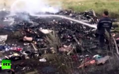 Место крушения Boeing 777 в Донецкой области. Кадр телеканала Russia Today