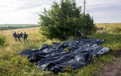 Сбор тел погибших на месте крушения © РИА Новости, Андрей Стенин
