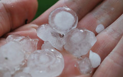 Фото Chmee2 с сайта wikimedia.org