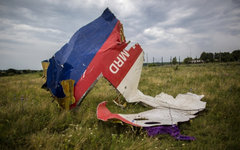 Обломки малайзийского лайнера Boeing 777 © РИА Новости, Андрей Стенин