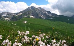 Фото с сайта adygeya.ru
