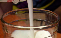 Фото Quijote с сайта wikimedia.org