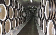 Фото с сайта wikimedia.org