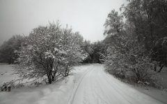 © KM.RU, Алексей Белкин