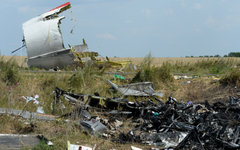 На месте крушения малайзийского Boeing 777 © РИА Новости, Михаил Воскресенский