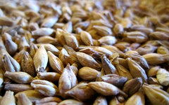 Фото Pierre-alain dorange с сайта wikimedia.org