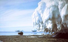 Лето в Антарктике. Фото с сайта megabook.ru