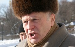 Владимир Жириновский © KM.RU