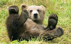Фото с сайта tomovl.ru