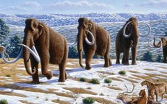 Изображение Mauricio Antón с сайта wikimedia.org