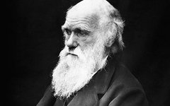 Чарлз Дарвин. Фото J. Cameron с сайта wikimedia.org